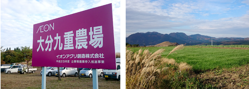 大分九重農場