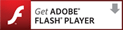 Get ADOBE FLASH PLAYER