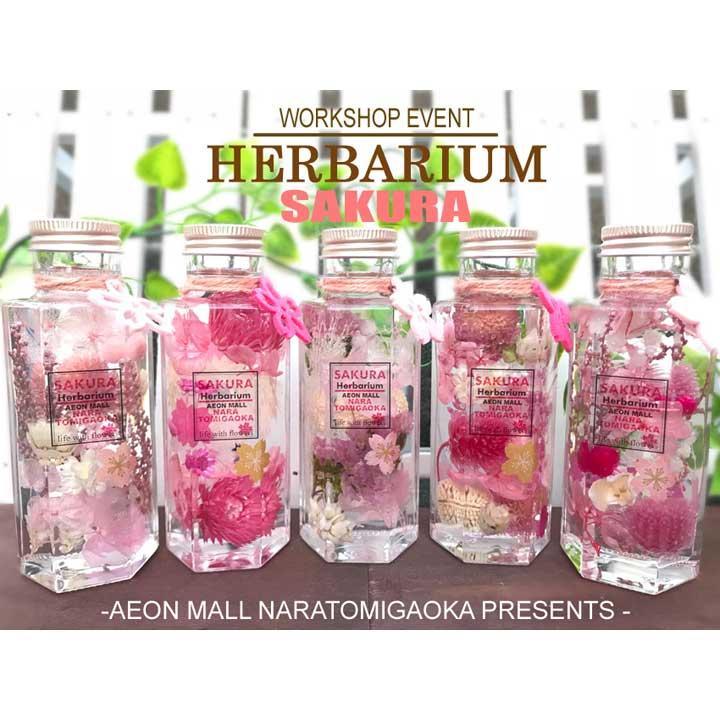 SAKURA COLOR HERBARIUM ,桜のハーバリウム,