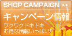 キャンペーン情報