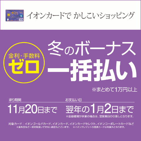 冬のボーナス一括払い