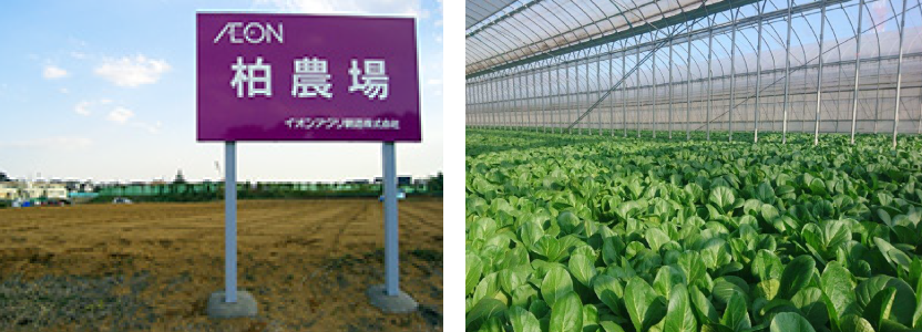 柏農場