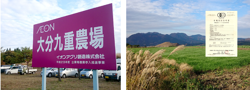 大分九重農場
