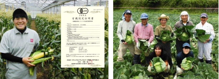 大分臼杵農場