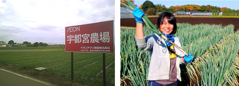宇都宮農場