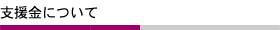 支援金について