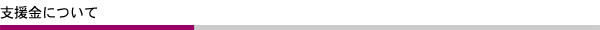 支援金について