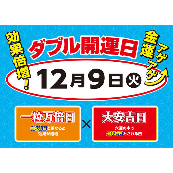 masa19690126　同時梱包割引　9月中旬 HEIKO 箱 ナチュラルボックス Z-19 10枚/袋 006201910 包装用品・店舗