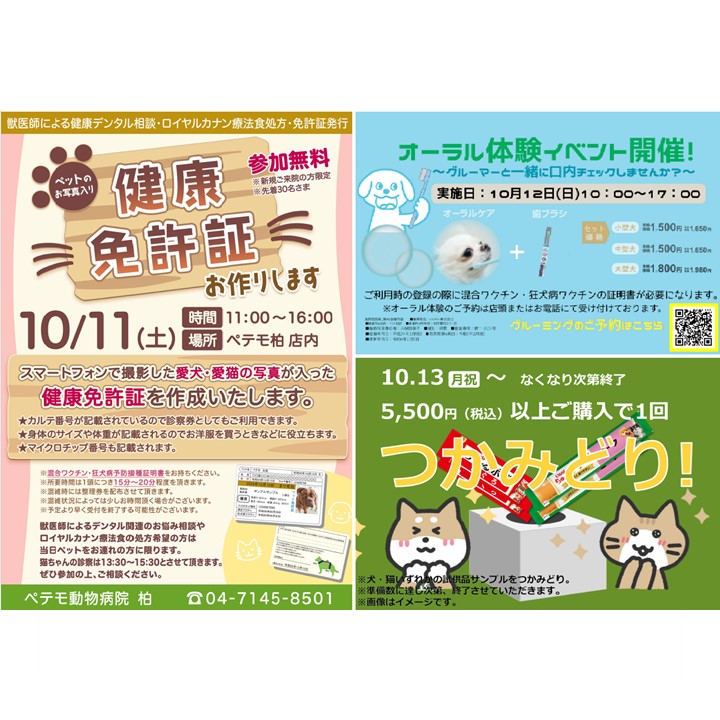 ペテモ