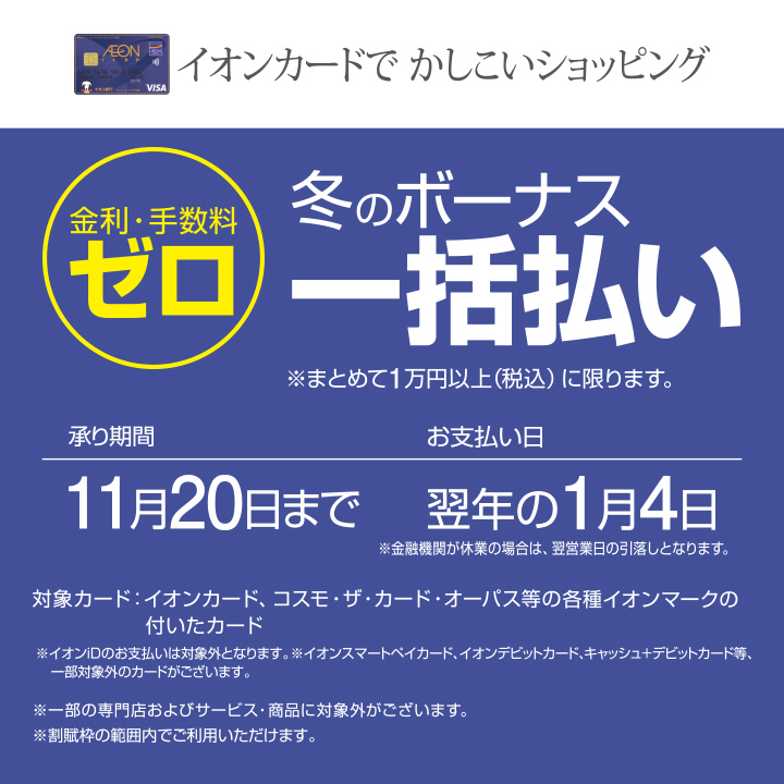 冬のボーナス一括払い