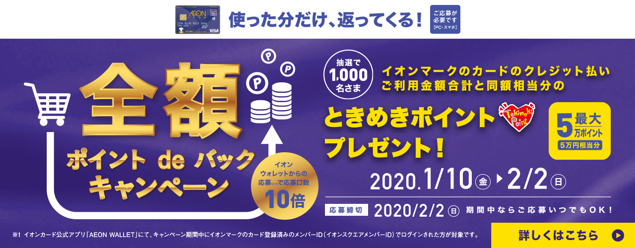 使った分だけ、返ってくる!全額ポイント de バックキャンペーン