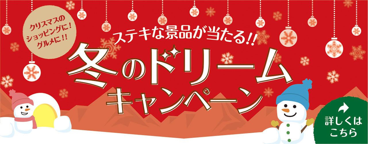 冬のドリームキャンペーン