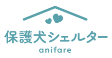 保護犬シェルター アニフェア