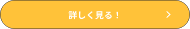 詳しく見る
