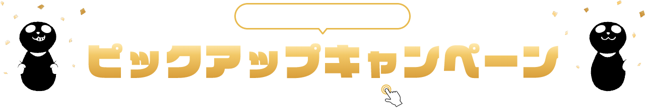 PICKUP CAMPAIGIN ピックアップキャンペーン 詳細は画像をクリック