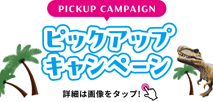 PICKUP CAMPAIGIN ピックアップキャンペーン 詳細は画像をクリック