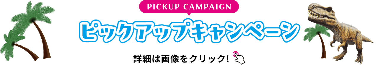 PICKUP CAMPAIGIN ピックアップキャンペーン 詳細は画像をクリック