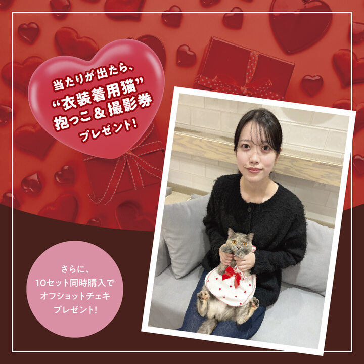 MOCHAにゃんずトレカ 〜2025 Winter〜 どきどきバレンタイン - 猫