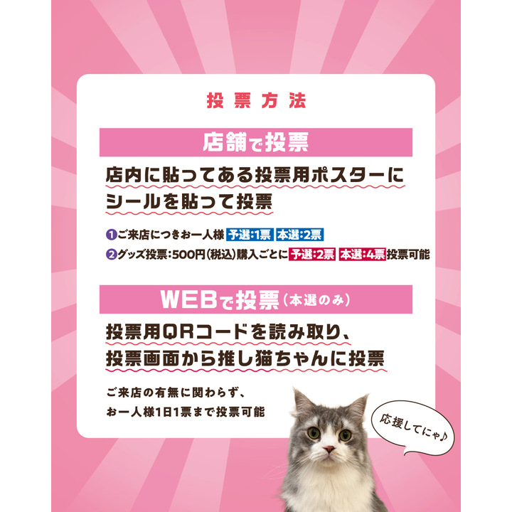 MOCHAにゃんず総選挙2026 - 猫カフェMOCHA - イオンモール東久留米
