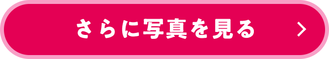 さらに写真を見る