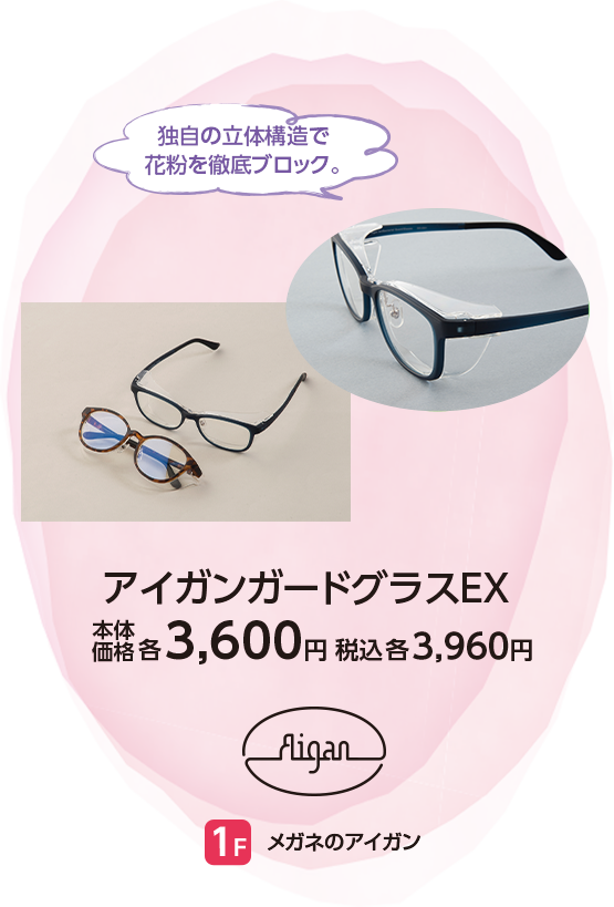 メガネのアイガン