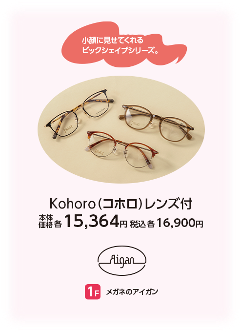 メガネのアイガン