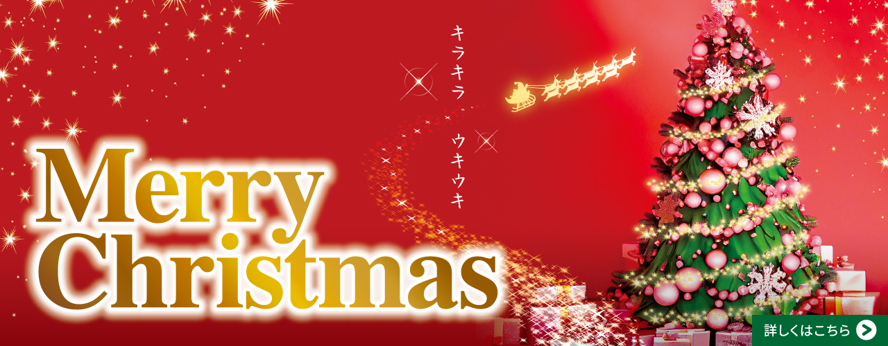 Merry Christmas