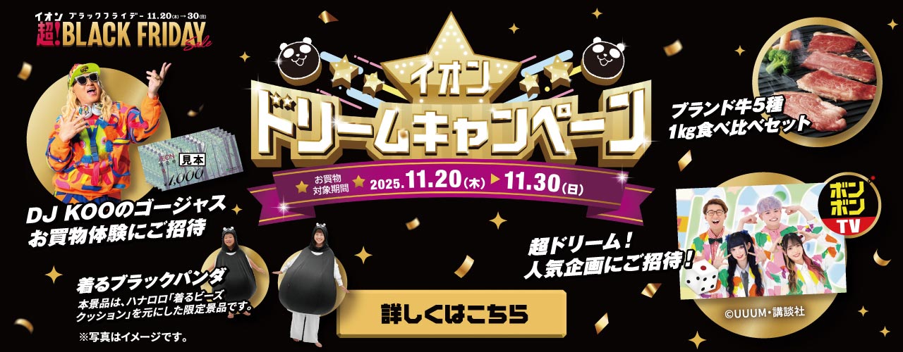 イオン ドリームキャンペーン