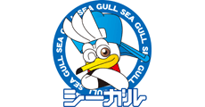 カードゲームのシーガル