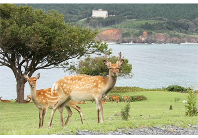 パワーチャージ&金運上昇!金華山