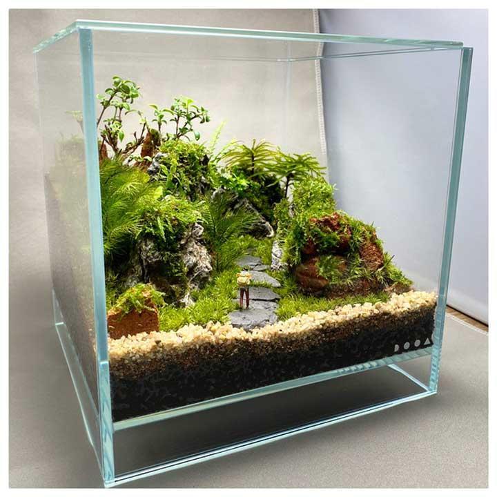 コケテラリウム イベントニュース イオンモール伊丹昆陽 公式ホームページ