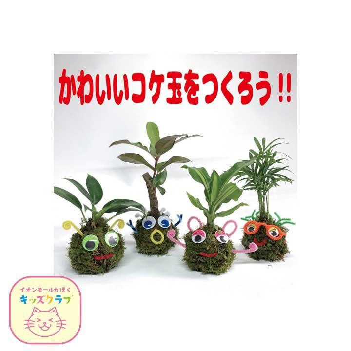 キッズカード対象イベント かわいい顔のコケ玉をつくろう イベントニュース イオンモールかほく 公式ホームページ
