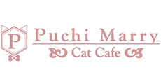 猫カフェPuchi Marry