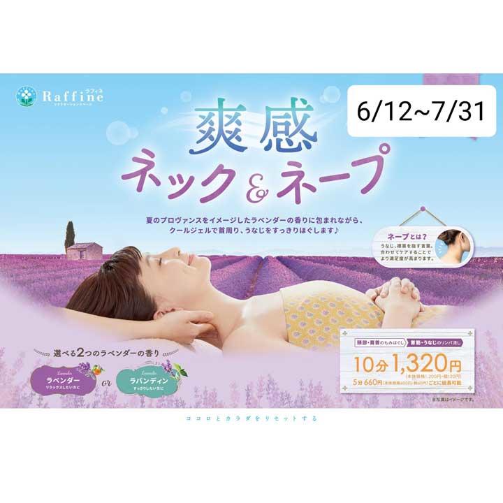 大人気ネックキャンペーン 店舗期間限定で復活 ラフィネ キャンペーン イオンモール各務原 公式ホームページ 大人気ネックキャンペーン 店舗期間限定で復活 ラフィネ キャンペーン イオンモール各務原 公式ホームページ