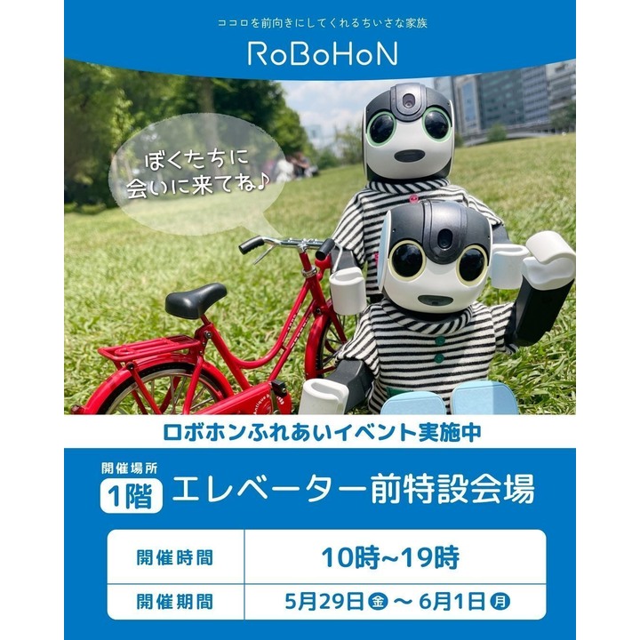 ロボホン』ふれあいイベント開催│イベントニュース│イオン鎌ヶ谷