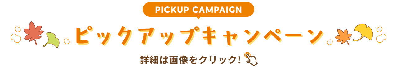 PICKUP CAMPAIGIN ピックアップキャンペーン 詳細は画像をクリック