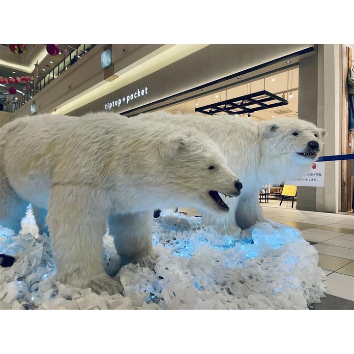 シロクマの背中に乗ってみよう!!