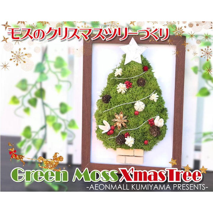モスのクリスマスツリーづくり イベントニュース イオンモール久御山 公式ホームページ
