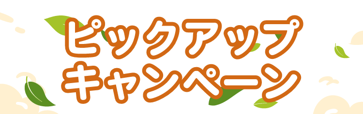 ピックアップキャンペーン