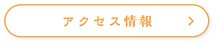 アクセス情報