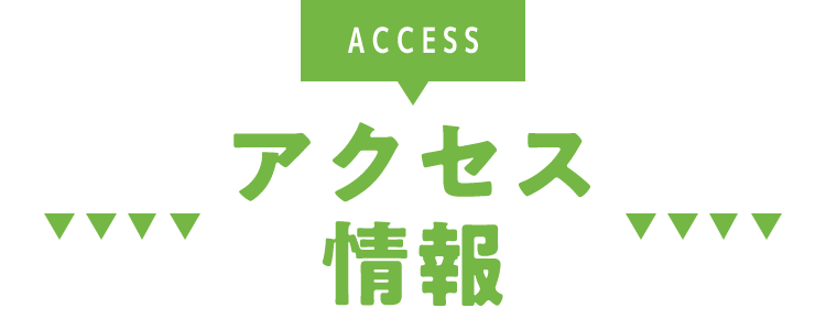 ACCESS アクセス情報