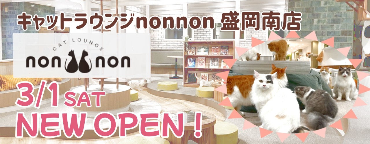 キャットラウンジ ノンノン NEW OPEN