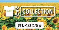TシャツCOLLECTION