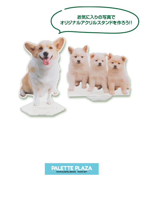 パレットプラザ