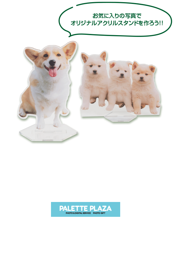 パレットプラザ