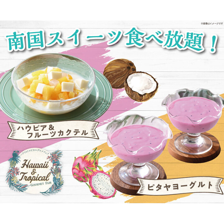 ニューマーケット│ショップガイド│イオンモール新潟亀田インター