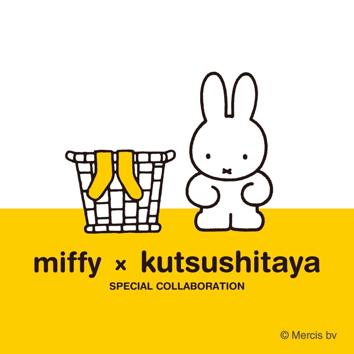 〇靴下屋〇【 miffy × kutsushitaya 】 - 靴下屋 - イオンモール新潟南