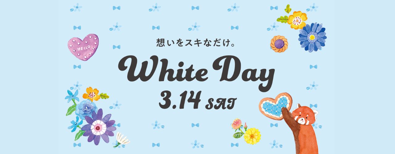 ホワイトデー特集
