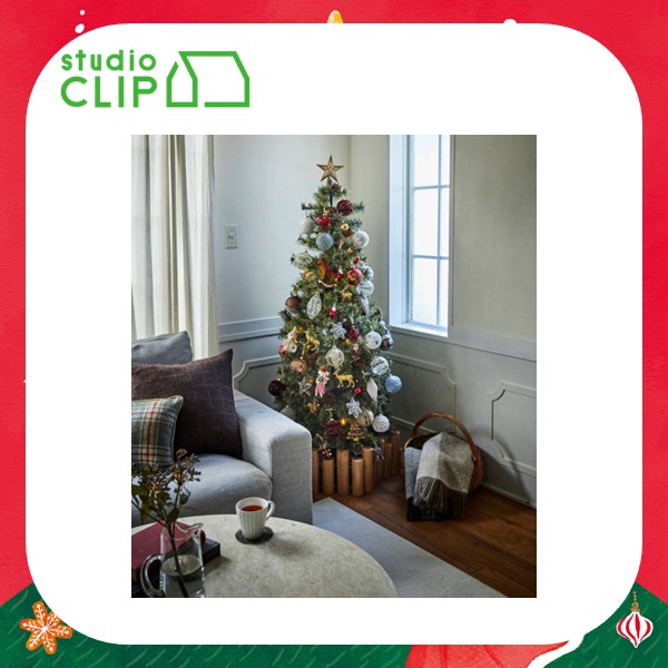 スタディオクリップ