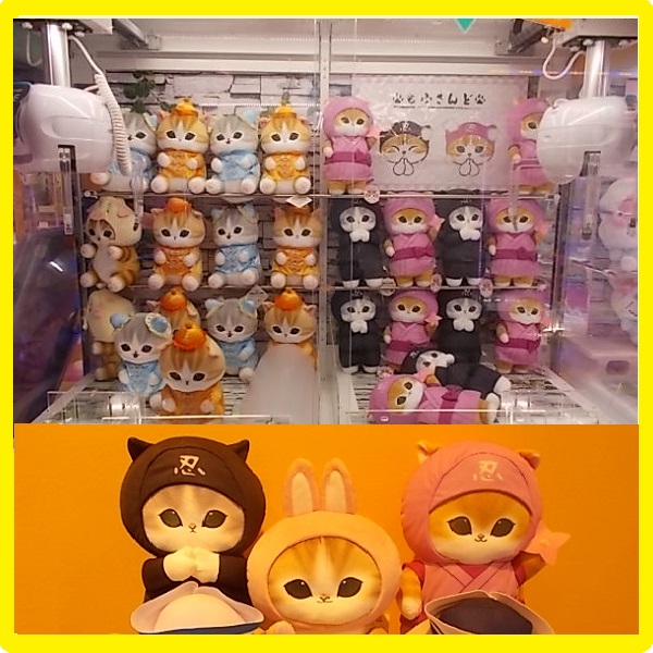 プラサカプコン